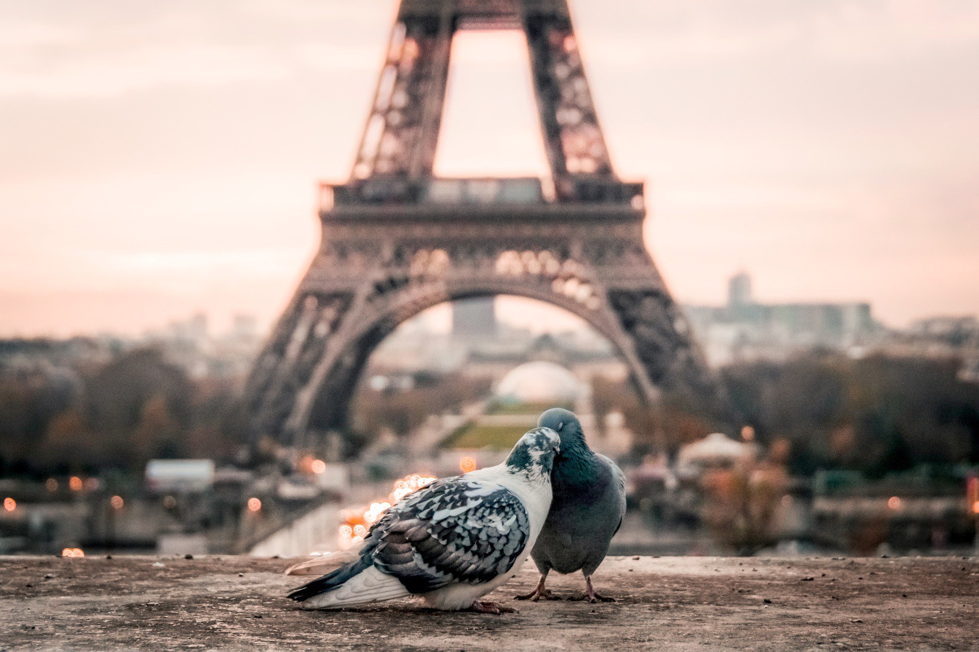 Bil See The Eiffel Tower